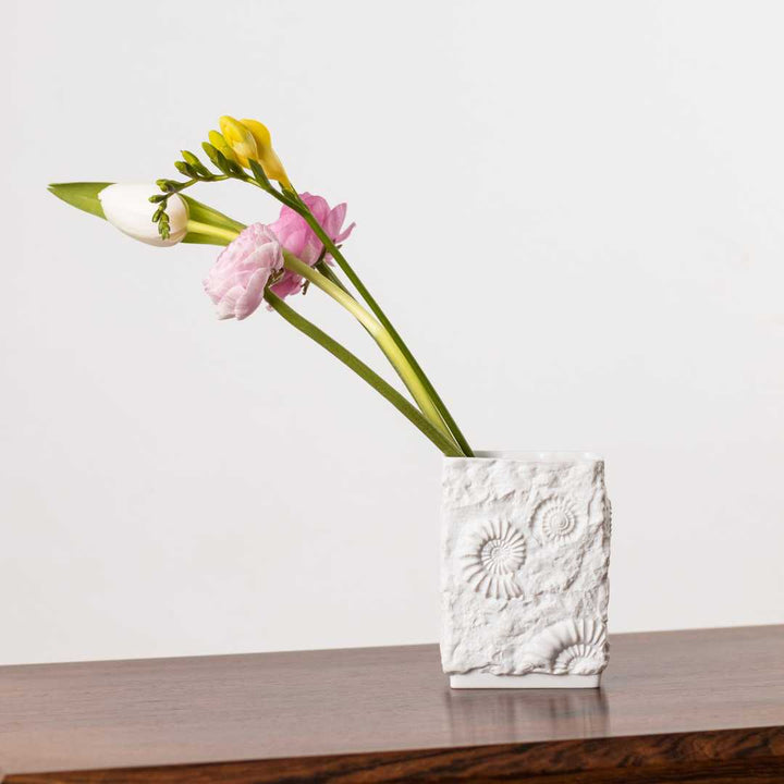 Ammoniten Vase mit Blumen auf Tisch