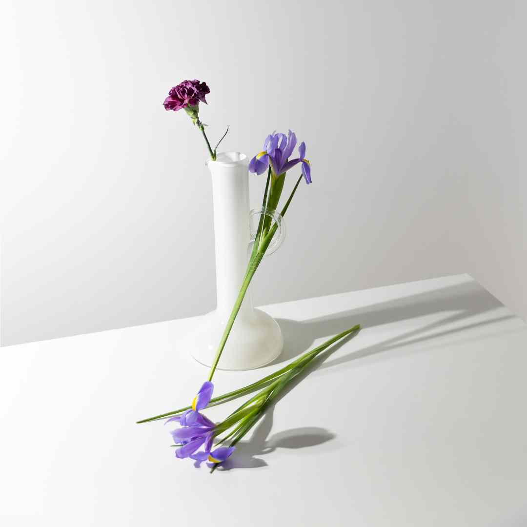Rein-weiße Vase arrangiert mit Blumen
