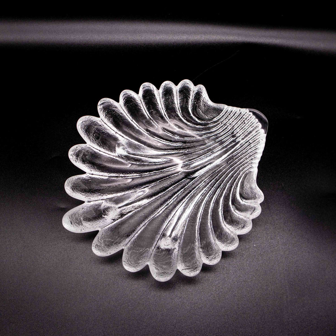 Muschel Schale von Riedel, Vogelperspektive