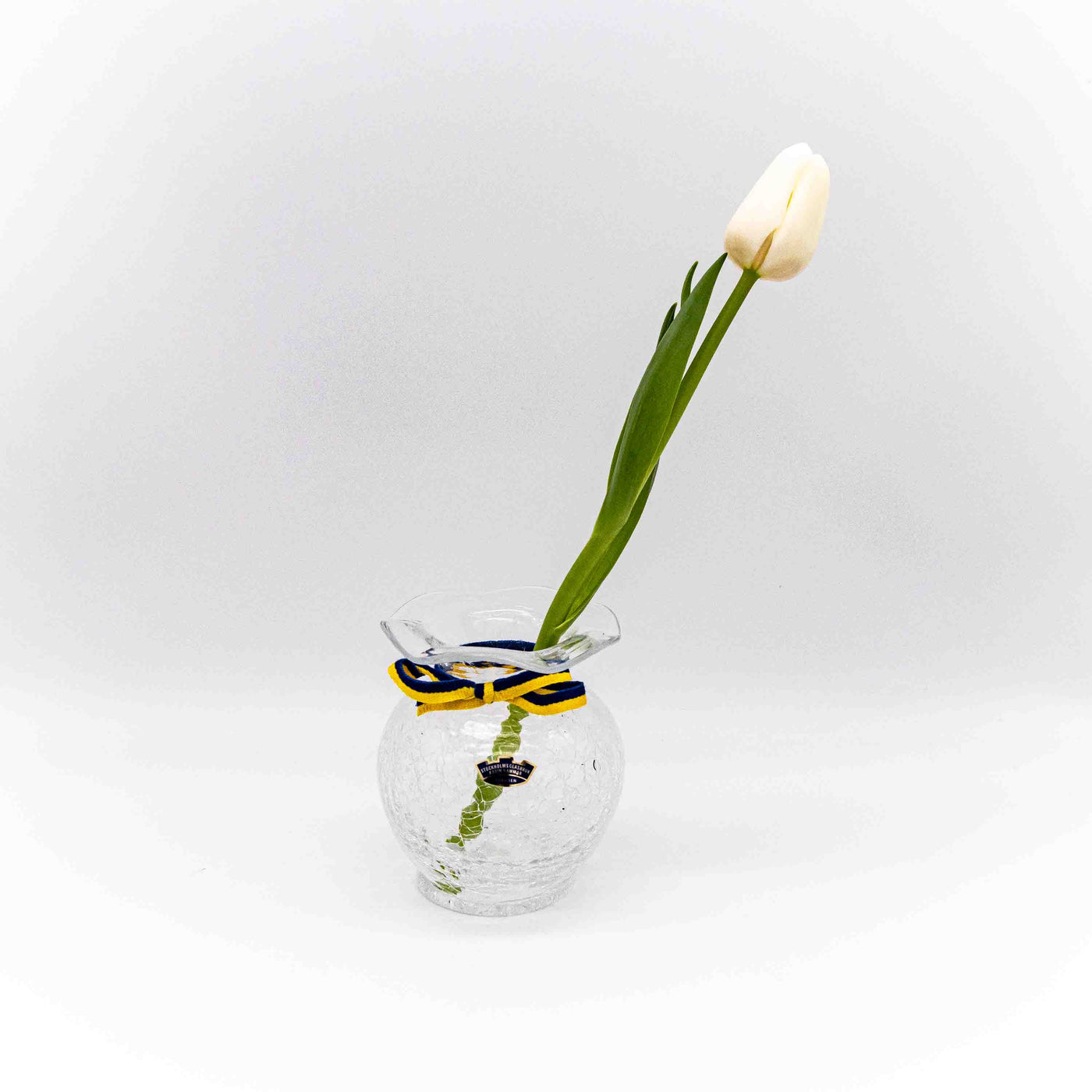 Craquelé Glas Vase von Stockholms Glassbruk mit Tulpe